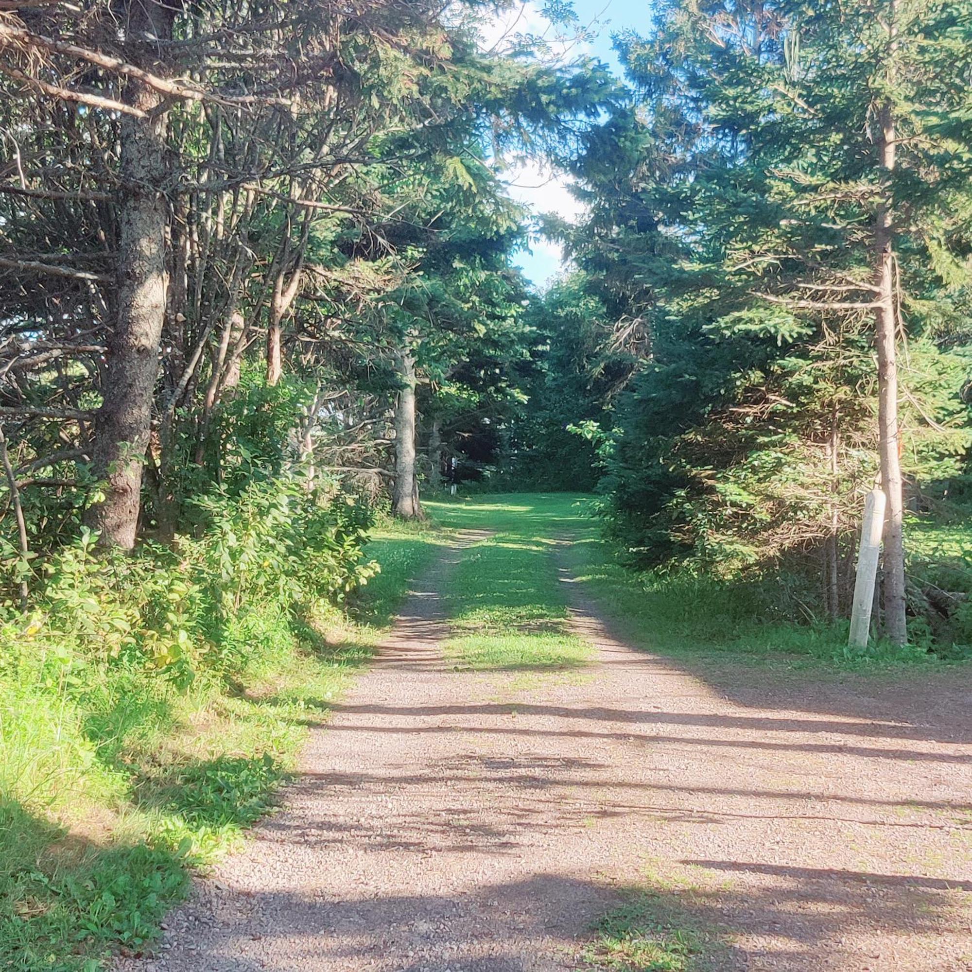 Avonlea Forest Hill Cottages New Glasgow Buitenkant foto