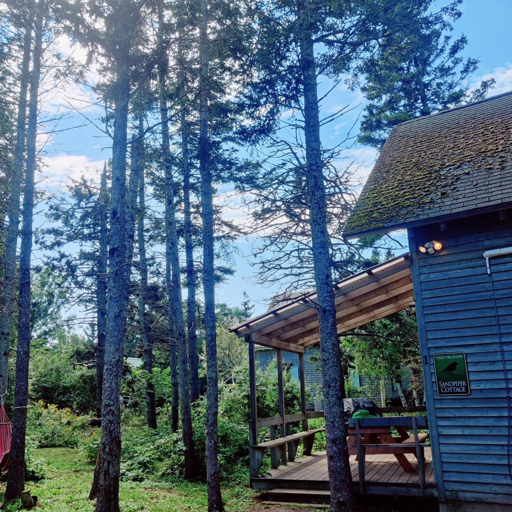 Avonlea Forest Hill Cottages New Glasgow Buitenkant foto